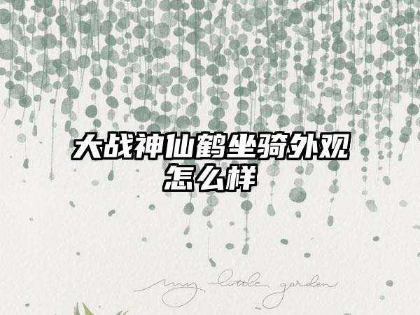 大战神仙鹤坐骑外观怎么样