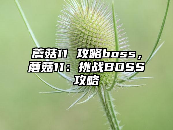 蘑菇11 攻略boss，蘑菇11：挑战BOSS攻略