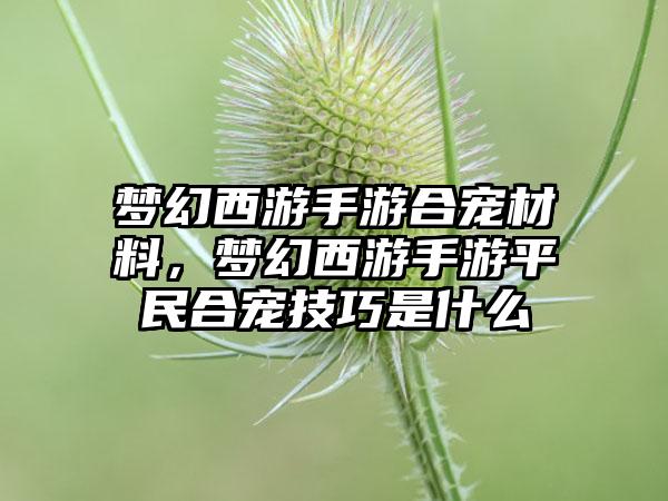 梦幻西游手游合宠材料，梦幻西游手游平民合宠技巧是什么