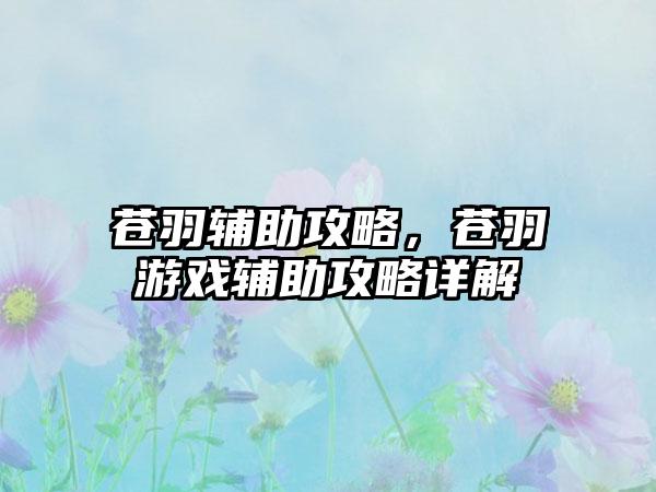 苍羽辅助攻略，苍羽游戏辅助攻略详解