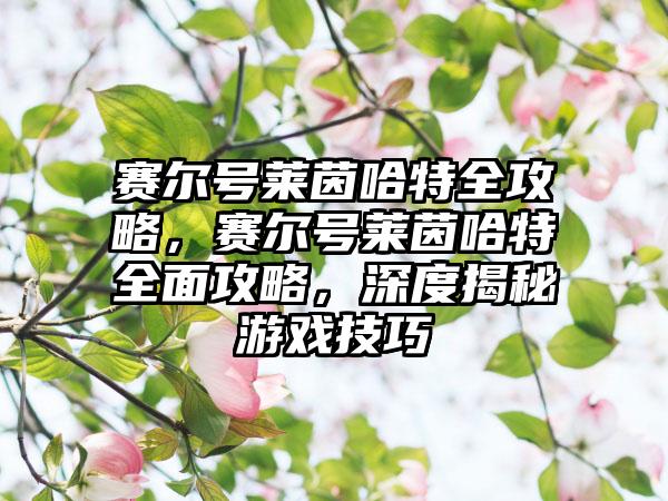 赛尔号莱茵哈特全攻略，赛尔号莱茵哈特全面攻略，深度揭秘游戏技巧