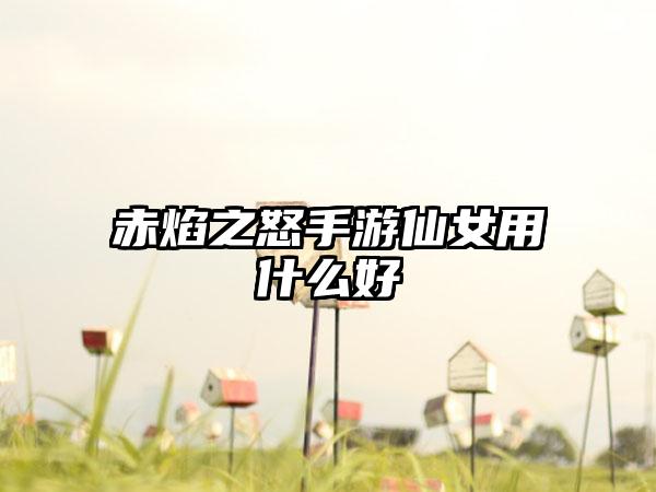 赤焰之怒手游仙女用什么好