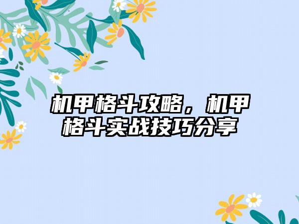 机甲格斗攻略，机甲格斗实战技巧分享