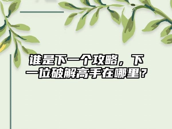 谁是下一个攻略，下一位破解高手在哪里？