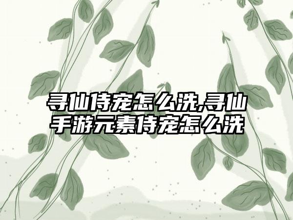 寻仙侍宠怎么洗,寻仙手游元素侍宠怎么洗