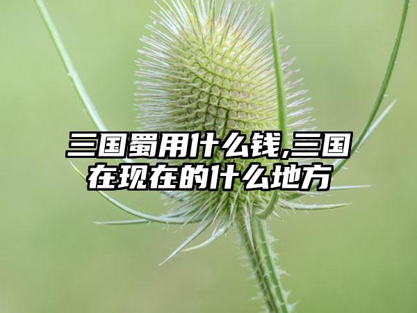 三国蜀用什么钱,三国在现在的什么地方