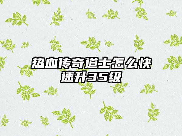 热血传奇道士怎么快速升35级
