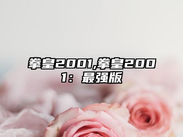 拳皇2001,拳皇2001：最强版
