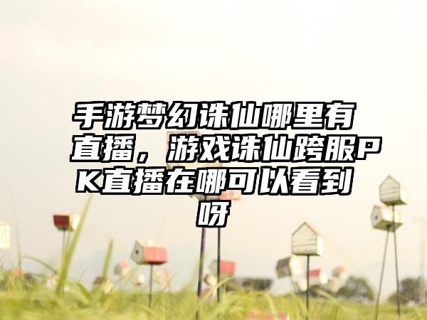 手游梦幻诛仙哪里有直播，游戏诛仙跨服PK直播在哪可以看到呀