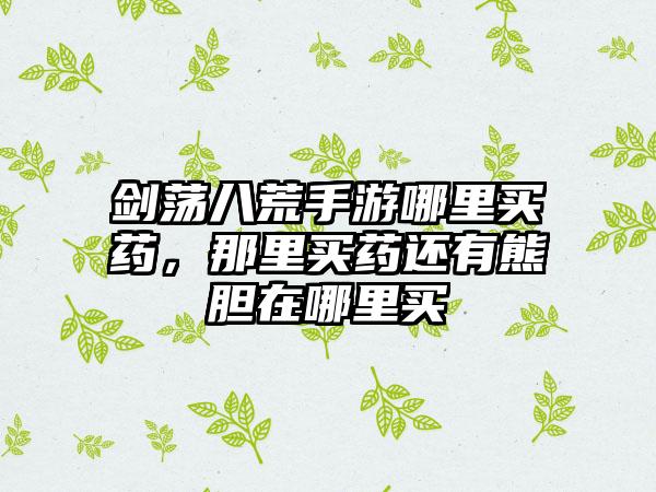 剑荡八荒手游哪里买药，那里买药还有熊胆在哪里买