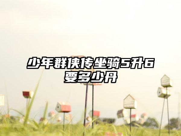 少年群侠传坐骑5升6要多少丹