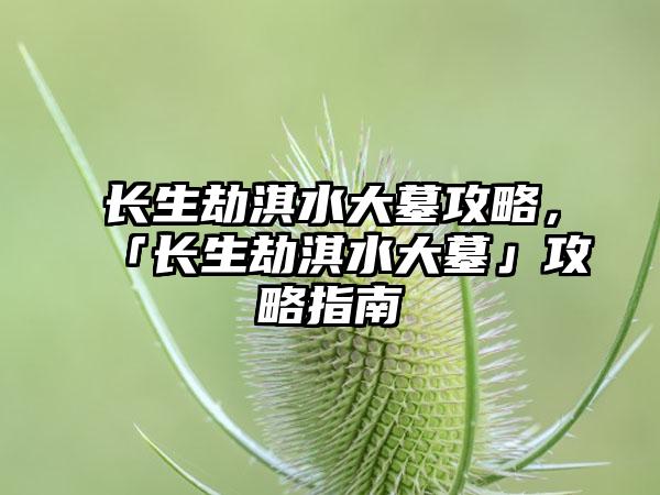长生劫淇水大墓攻略，「长生劫淇水大墓」攻略指南