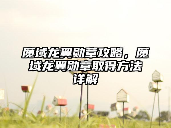 魔域龙翼勋章攻略，魔域龙翼勋章取得方法详解