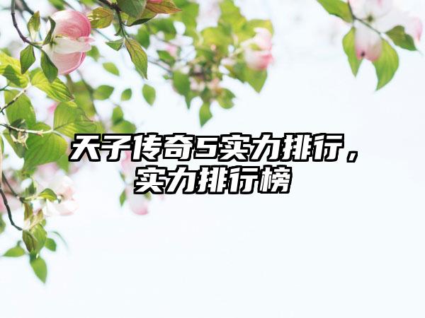 天子传奇5实力排行，实力排行榜