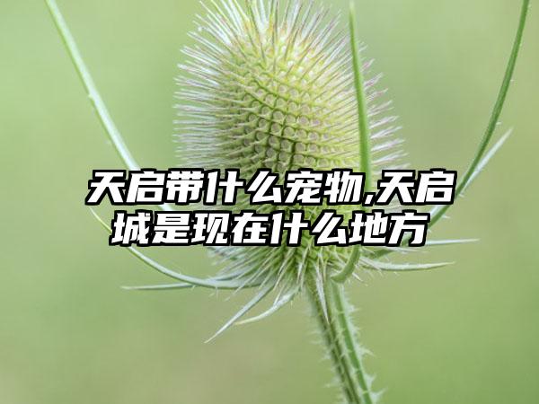 天启带什么宠物,天启城是现在什么地方