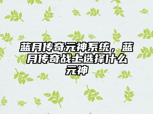 蓝月传奇元神系统，蓝月传奇战士选择什么元神