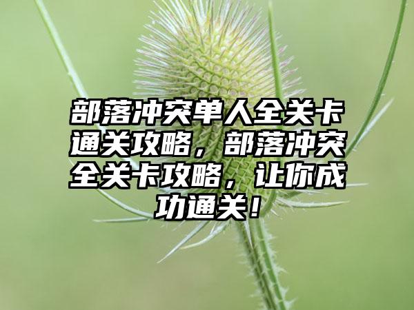 部落冲突单人全关卡通关攻略，部落冲突全关卡攻略，让你成功通关！