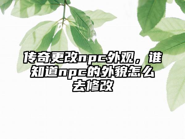 传奇更改npc外观，谁知道npc的外貌怎么去修改