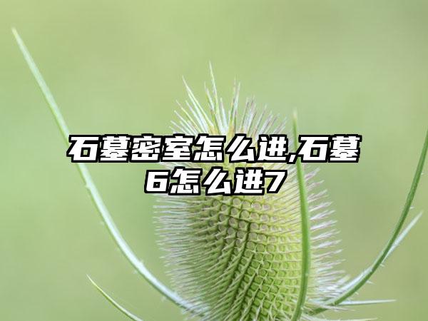 石墓密室怎么进,石墓6怎么进7