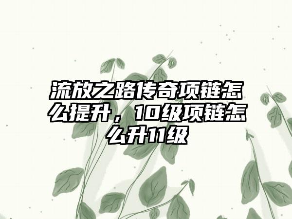 流放之路传奇项链怎么提升，10级项链怎么升11级