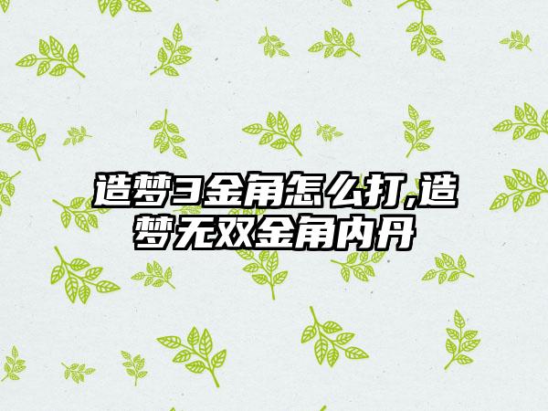 造梦3金角怎么打,造梦无双金角内丹