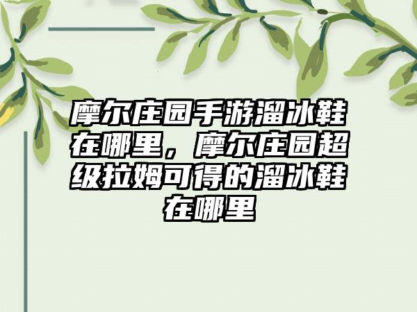 摩尔庄园手游溜冰鞋在哪里，摩尔庄园超级拉姆可得的溜冰鞋在哪里