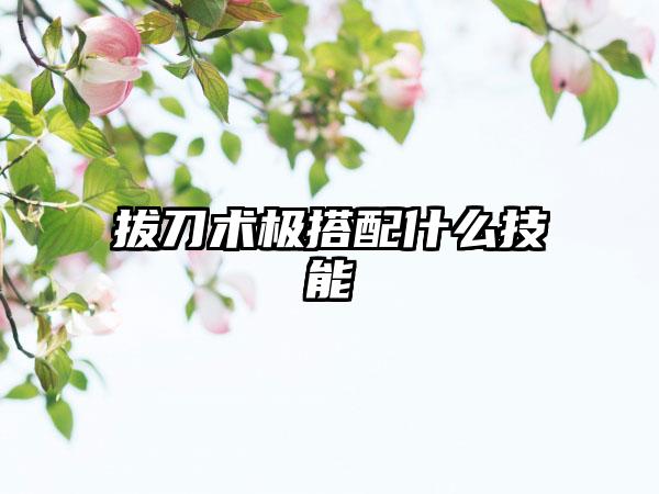 拔刀术极搭配什么技能