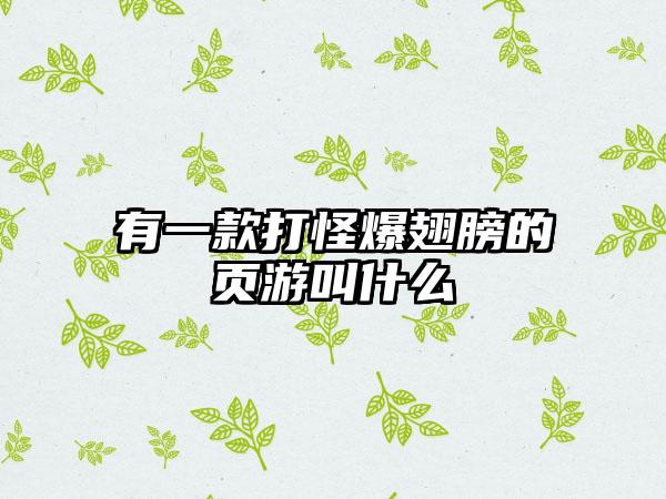 有一款打怪爆翅膀的页游叫什么