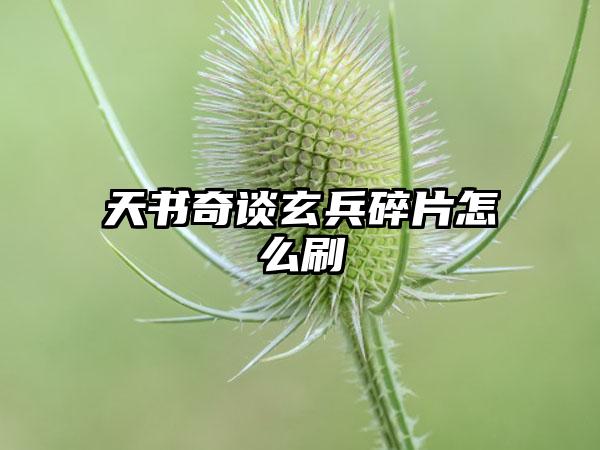 天书奇谈玄兵碎片怎么刷