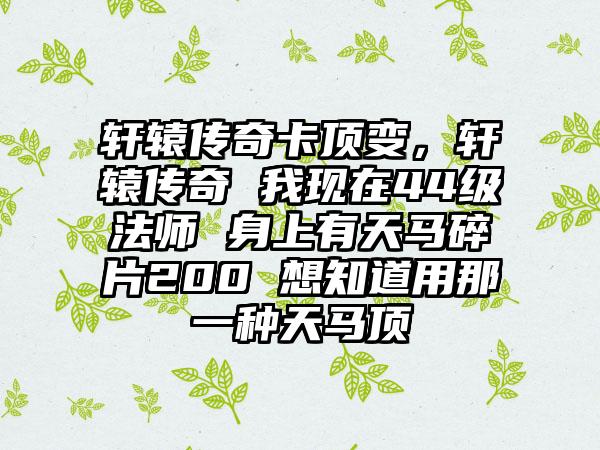 轩辕传奇卡顶变，轩辕传奇 我现在44级法师 身上有天马碎片200 想知道用那一种天马顶