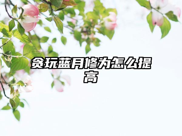 贪玩蓝月修为怎么提高