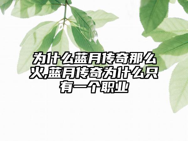 为什么蓝月传奇那么火,蓝月传奇为什么只有一个职业