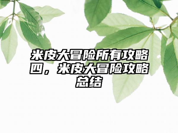 米皮大冒险所有攻略四，米皮大冒险攻略总结