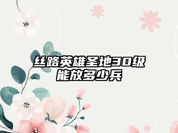 丝路英雄圣地30级能放多少兵