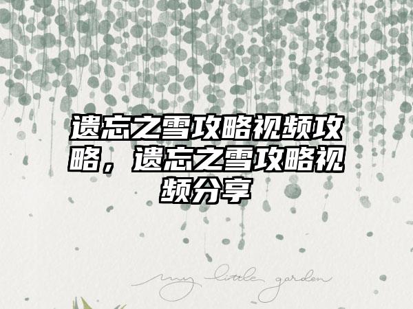 遗忘之雪攻略视频攻略，遗忘之雪攻略视频分享