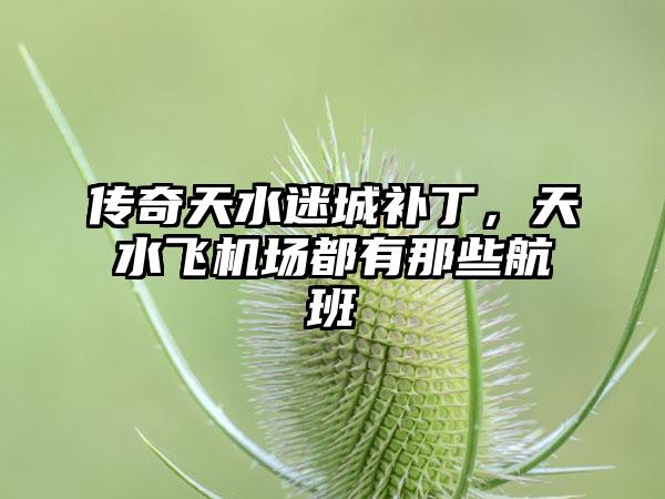 传奇天水迷城补丁，天水飞机场都有那些航班