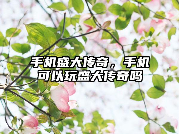 手机盛大传奇，手机可以玩盛大传奇吗