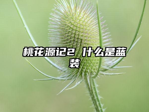 桃花源记2 什么是蓝装
