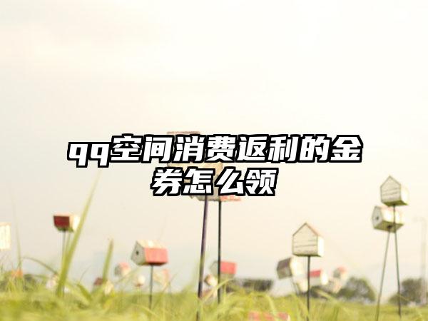 qq空间消费返利的金券怎么领