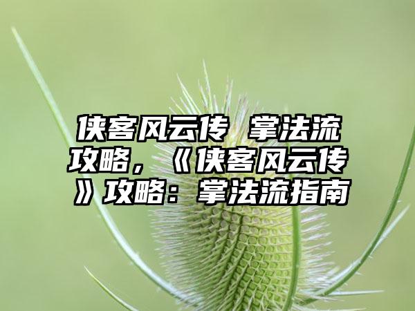 侠客风云传 掌法流攻略，《侠客风云传》攻略：掌法流指南