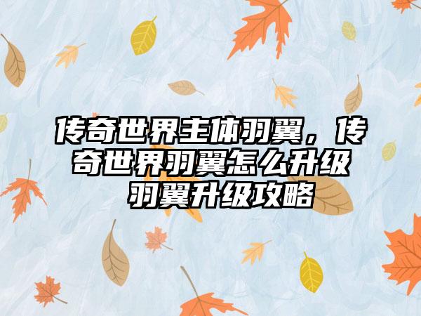 传奇世界主体羽翼，传奇世界羽翼怎么升级 羽翼升级攻略
