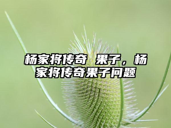 杨家将传奇 果子，杨家将传奇果子问题