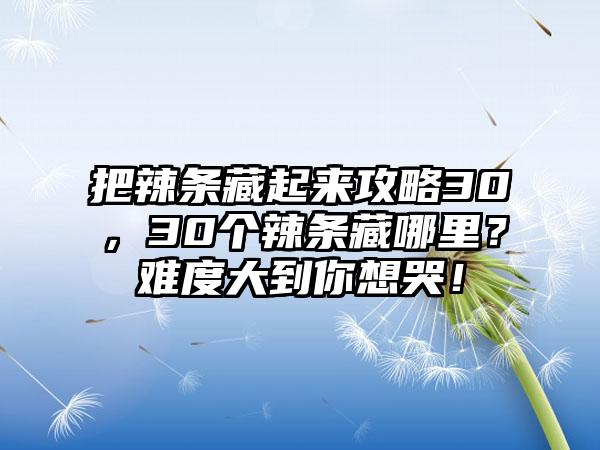 把辣条藏起来攻略30，30个辣条藏哪里？难度大到你想哭！
