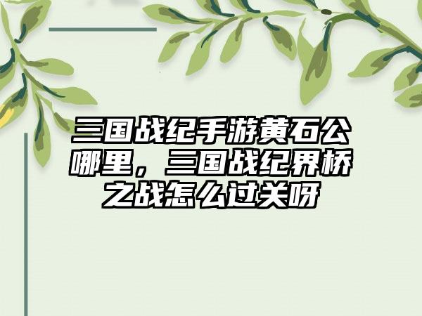 三国战纪手游黄石公哪里，三国战纪界桥之战怎么过关呀