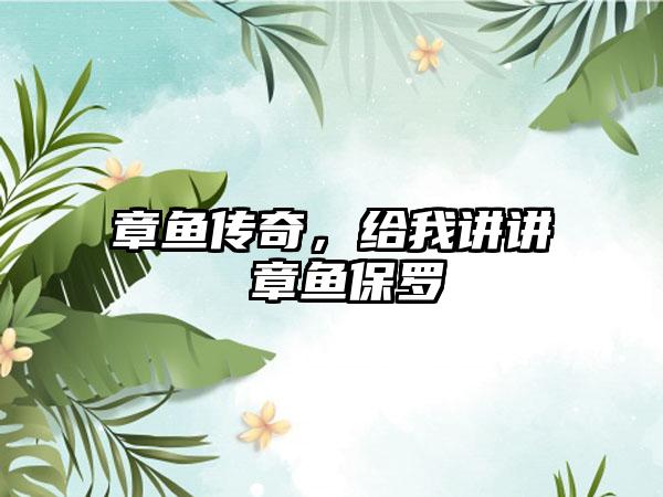 章鱼传奇，给我讲讲 章鱼保罗