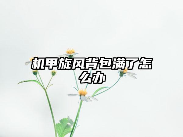 机甲旋风背包满了怎么办