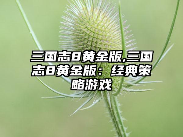 三国志8黄金版,三国志8黄金版：经典策略游戏