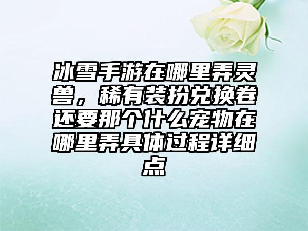 冰雪手游在哪里弄灵兽，稀有装扮兑换卷还要那个什么宠物在哪里弄具体过程详细点