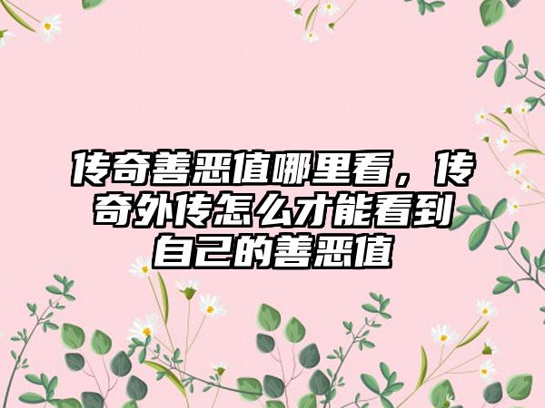 传奇善恶值哪里看，传奇外传怎么才能看到自己的善恶值