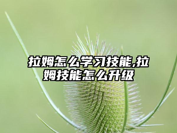 拉姆怎么学习技能,拉姆技能怎么升级